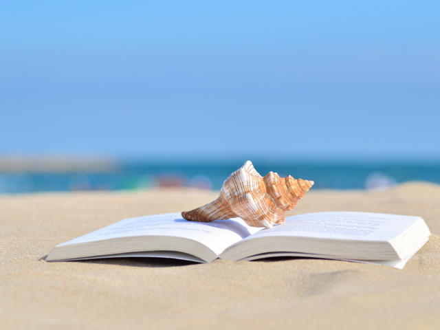 lectura verano