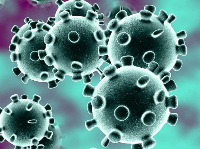 coronavirus